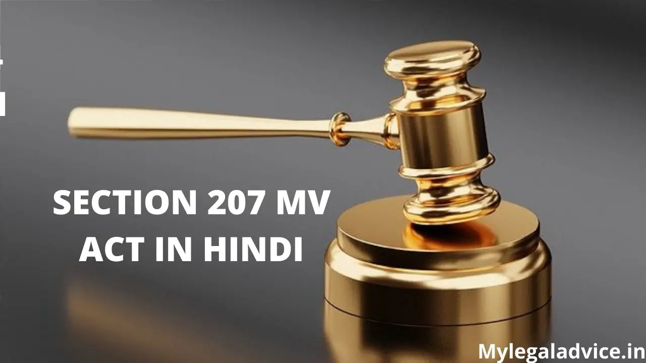 SECTION 207 MV ACT IN HINDI